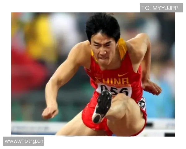 体育传奇人物的奋斗史与历史意义探讨：从乔丹到刘翔的辉煌篇章