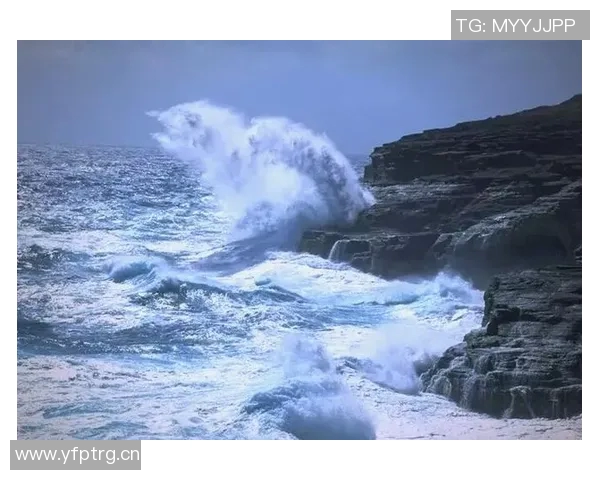 畅游蓝海：探索游泳技巧与健康益处的全面指南
